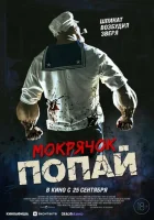  Мокрячок Попай смотреть онлайн (2025) 
