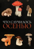  Что случилось осенью смотреть онлайн (2024) 