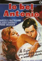  Красавчик Антонио смотреть онлайн (1960) 